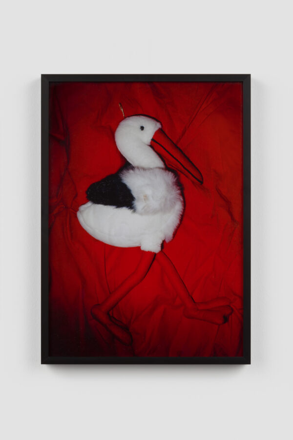nid rouge, j’attend - 2, 2023, photographic prints on Baryta paper, black alumnium frame, 25 x 35 cm